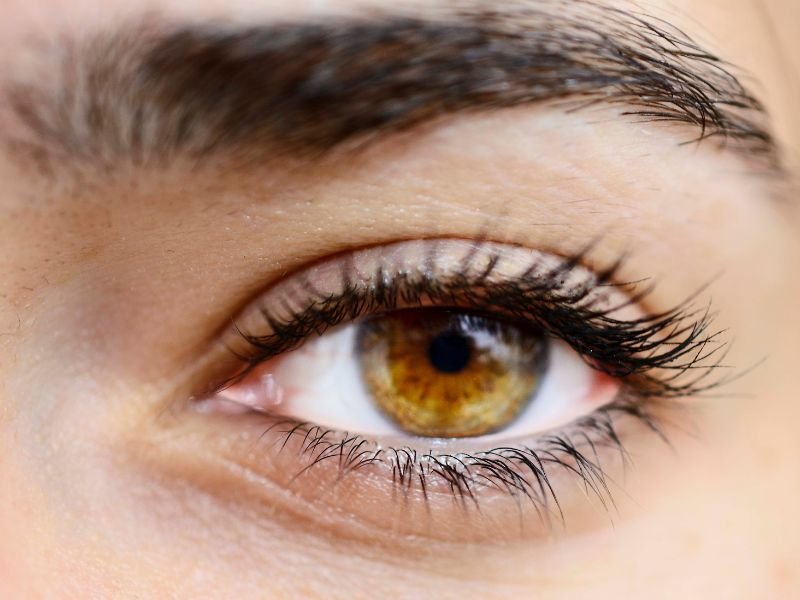 Angiografia na Retina em Curitiba