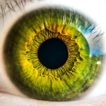Cirurgia com Injecao Ocular em Curitiba