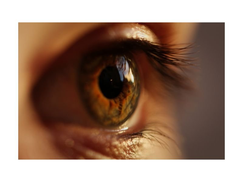 Deslocamento de Retina em Curitiba