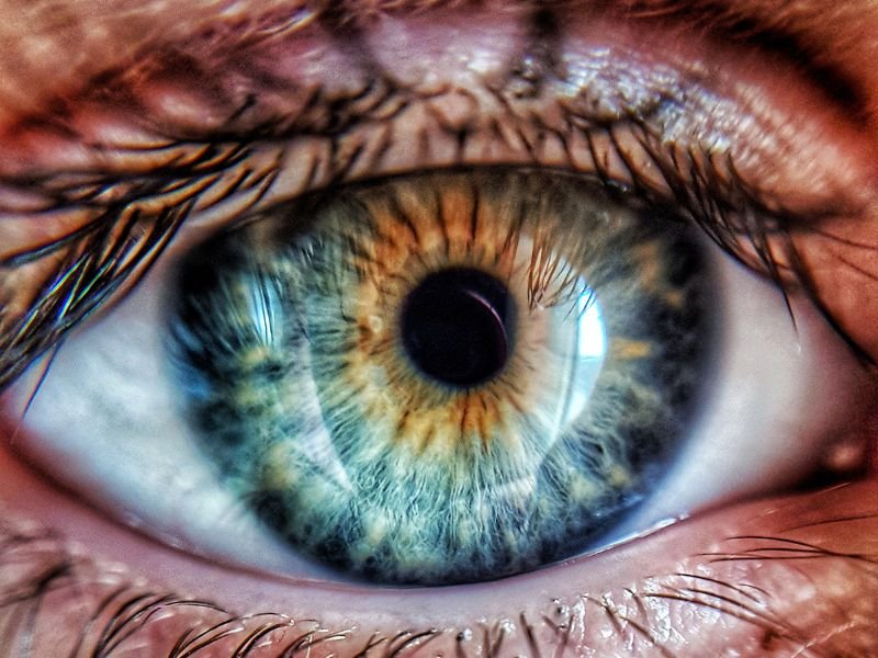 Retinografia em Curitiba